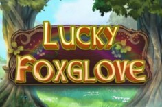 Lucky FoxGlove